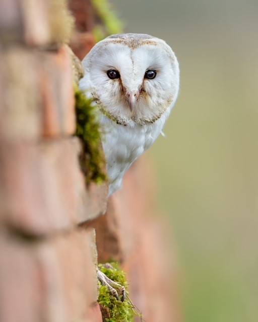 What the Best Ecology Candidates Are Doing Differently in 2026